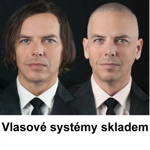 Vlasové systémy