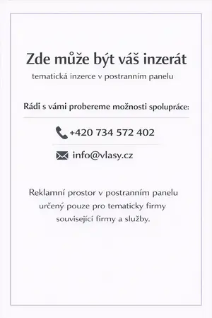 Zde může být váš inzerát – tematická inzerce v postranním panelu